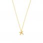 Preview: Wunderschöne Halskette mit bezauberndem kleinem Seestern als Anhänger. Krinaki Goldschmuck wird in in eigener Werkstatt in Athen handgefertigt. Jetzt versandkostenfrei im Perlenmarkt OnlineShop bestellen!