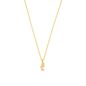 Preview: Die fantastische, goldene Halskette von Krinaki Jewelry hat ein zauberhaftes Seepferdchen mit kleinem funkelndem Zirkonia als Anhänger und wartet schon im Perlenmarkt OnlineShop auf Dich! Jetzt entdecken!