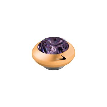MelanO Magnetic Ringaufsatz Gold Purple klein