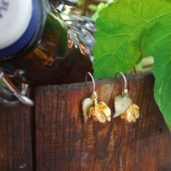 Als Arzneipflanze geschätzt ist diese schnellwachsende, einjährige bis ausdauernde, krautige Kletterpflanze auch in der Küche von Bedeutung. Seine wichtigste Verwendung findet der Hopfen aber natürlich bei der Brauung von Bier.