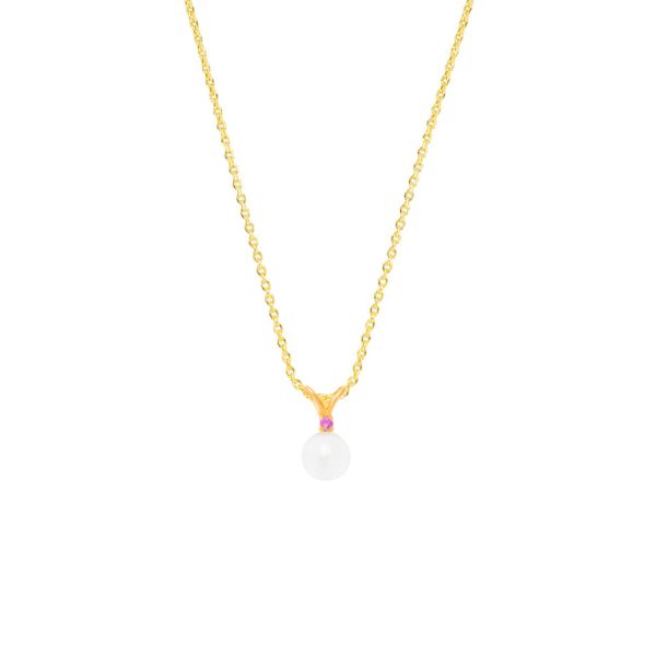 Die traumhafte Halskette mit wunderschöne Perle an in goldener Fassung mit funkelndem kleinen Rubin wartet schon im Perlenmarkt auf Dich! Jetzt entdecken!