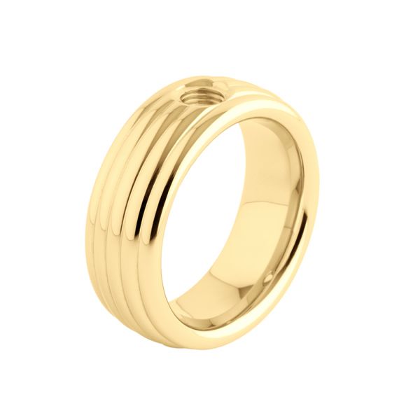 Hinreißender Ring in Gold mit wunderschöner Optik, kombinierbar mit allen MelanO Vivid Ringaufsätzen. Jetzt versandkostenfrei im Perlenmarkt OnlineShop bestellen!