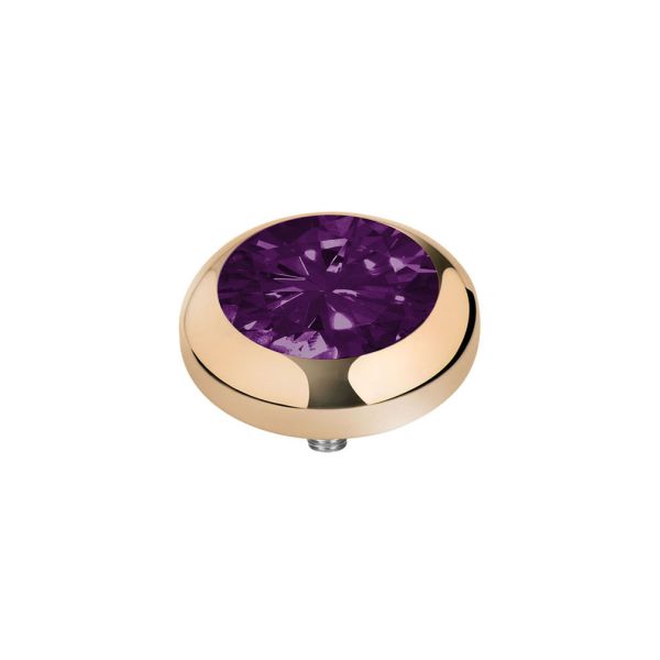 Genialer Ringaufsatz mit funkelndem Zirkonia in Aubergine und goldener Fassung für alle MelanO Vivid Ringe. Das Melano Vivid Schmuck System jetzt versandkostenfrei im Perlenmarkt OnlineShop bestellen!