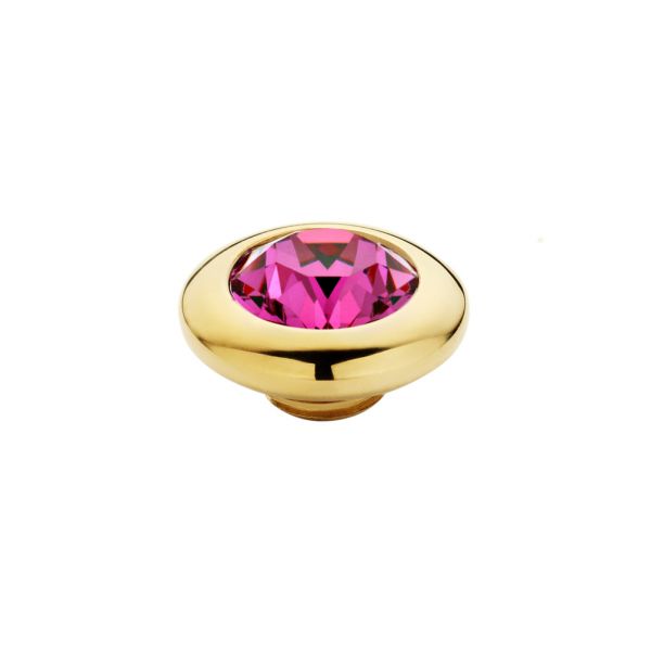 Bezaubernder MelanO Ringaufsatz mit Zirkonia in funkelndem Fuchsia mit goldener Fassung für alle Vivid Ringe. Der Aufsatz wird auf den Ring geschraubt und kann ausgetauscht werden. Jetzt versandkostenfrei im Perlenmarkt OnlineShop bestellen!